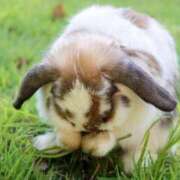 ヒメ日記 2025/07/29 16:16 投稿 まりあ ぼくらのデリヘルランドin久喜店