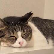 ヒメ日記 2025/08/07 18:26 投稿 まりあ ぼくらのデリヘルランドin久喜店