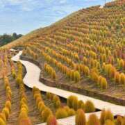 ヒメ日記 2026/03/11 10:36 投稿 まりあ ぼくらのデリヘルランドin春日部・久喜店