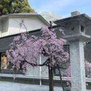 ヒメ日記 2026/03/30 22:23 投稿 みな 手コキガールズコレクション