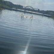 ヒメ日記 2025/05/08 17:05 投稿 さきな 萌えカワ