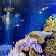 ヒメ日記 2025/07/01 15:10 投稿 さきな 萌えカワ