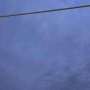 ヒメ日記 2025/09/23 05:12 投稿 さきな 萌えカワ