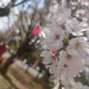 ヒメ日記 2025/04/07 14:33 投稿 ゆづる ダイスキ