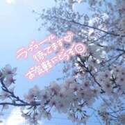 ヒメ日記 2025/04/11 12:32 投稿 ゆづる ダイスキ