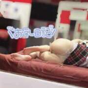 ヒメ日記 2025/03/26 13:52 投稿 おと【完全未経験の甘えんぼ】 ポニーテール和歌山店