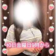 ヒメ日記 2025/10/09 09:12 投稿 おと【完全未経験の甘えんぼ】 ポニーテール和歌山店