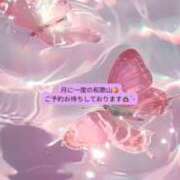 ヒメ日記 2026/05/14 17:18 投稿 おと【完全未経験の甘えんぼ】 ポニーテール和歌山店