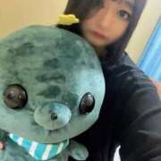 ヒメ日記 2025/10/11 16:33 投稿 つばき ドMバスターズ岡崎・安城・豊田店