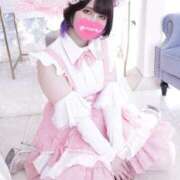 ヒメ日記 2025/01/25 09:01 投稿 あんず 和楽(わらく)