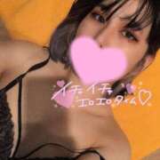 ヒメ日記 2025/03/29 09:00 投稿 あんず 和楽(わらく)