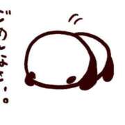 ヒメ日記 2025/08/23 15:49 投稿 かおり 恋づま