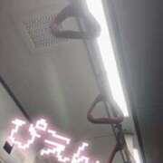 ヒメ日記 2024/12/19 10:20 投稿 いまる ウルトラグレイス24