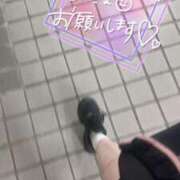 ヒメ日記 2024/12/29 08:20 投稿 いまる ウルトラグレイス24