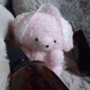 ヒメ日記 2025/01/31 10:20 投稿 いまる ウルトラグレイス24