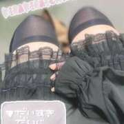 ヒメ日記 2025/02/19 08:22 投稿 いまる ウルトラグレイス24