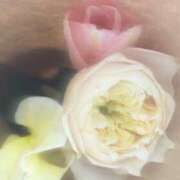 ヒメ日記 2025/02/23 03:00 投稿 いまる ウルトラグレイス24