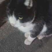 ヒメ日記 2025/02/24 12:56 投稿 いまる ウルトラグレイス24