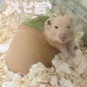 ヒメ日記 2025/02/26 12:53 投稿 いまる ウルトラグレイス24