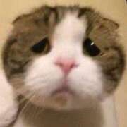 ヒメ日記 2025/02/28 16:00 投稿 いまる ウルトラグレイス24