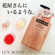 ヒメ日記 2025/03/08 00:20 投稿 いまる ウルトラグレイス24