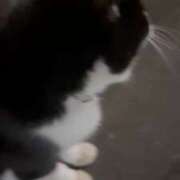 ヒメ日記 2025/03/10 12:23 投稿 いまる ウルトラグレイス24