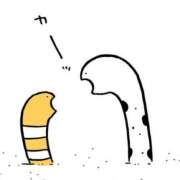 ヒメ日記 2025/04/02 20:33 投稿 いまる ウルトラグレイス24