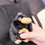 ヒメ日記 2025/08/27 12:21 投稿 いまる ウルトラグレイス24