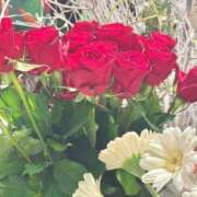 ヒメ日記 2025/12/01 11:00 投稿 いまる ウルトラグレイス24