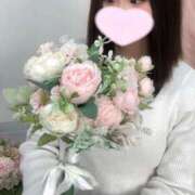 ヒメ日記 2025/12/31 12:54 投稿 いまる ウルトラグレイス24