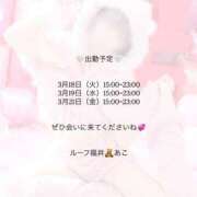 ヒメ日記 2025/03/13 14:18 投稿 あこ ルーフ福井