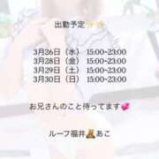 ヒメ日記 2025/03/24 19:12 投稿 あこ ルーフ福井