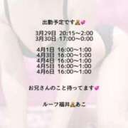 ヒメ日記 2025/03/28 23:18 投稿 あこ ルーフ福井
