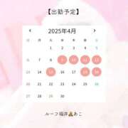 ヒメ日記 2025/04/08 06:03 投稿 あこ ルーフ福井