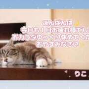 ヒメ日記 2024/12/04 22:31 投稿 りこ奥様 川崎人妻ソープ Mint(ミント)