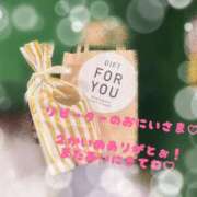 ヒメ日記 2025/04/06 00:37 投稿 りょうか ていくぷらいど.学園