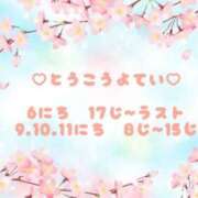 ヒメ日記 2025/04/06 00:53 投稿 りょうか ていくぷらいど.学園