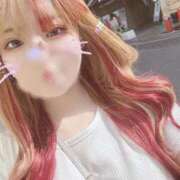 ヒメ日記 2025/04/10 07:38 投稿 りょうか ていくぷらいど.学園