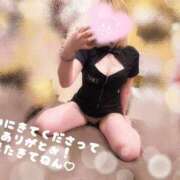 ヒメ日記 2025/04/30 14:50 投稿 りょうか ていくぷらいど.学園