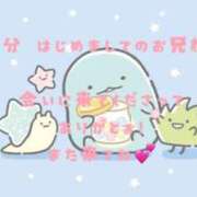 ヒメ日記 2025/05/28 15:02 投稿 りょうか ていくぷらいど.学園