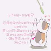 ヒメ日記 2025/08/11 11:43 投稿 りょうか ていくぷらいど.学園