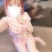 ヒメ日記 2025/11/26 14:59 投稿 りょうか ていくぷらいど.学園