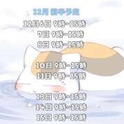 ヒメ日記 2025/12/05 21:33 投稿 りょうか ていくぷらいど.学園