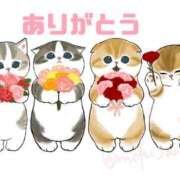 ヒメ日記 2026/02/22 21:14 投稿 りょうか ていくぷらいど.学園