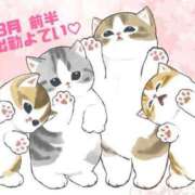 ヒメ日記 2026/02/28 20:01 投稿 りょうか ていくぷらいど.学園