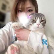 ヒメ日記 2026/03/16 21:48 投稿 りょうか ていくぷらいど.学園