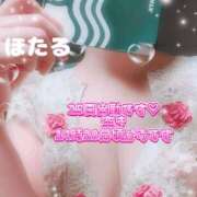 ヒメ日記 2025/01/23 21:05 投稿 ほたる スチュワーデス