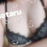 ヒメ日記 2025/10/09 05:08 投稿 ほたる スチュワーデス