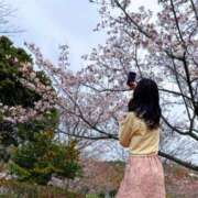 ヒメ日記 2025/03/31 12:07 投稿 ゆい 京都痴女性感フェチ倶楽部