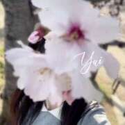 ヒメ日記 2025/04/11 06:24 投稿 ゆい 京都痴女性感フェチ倶楽部